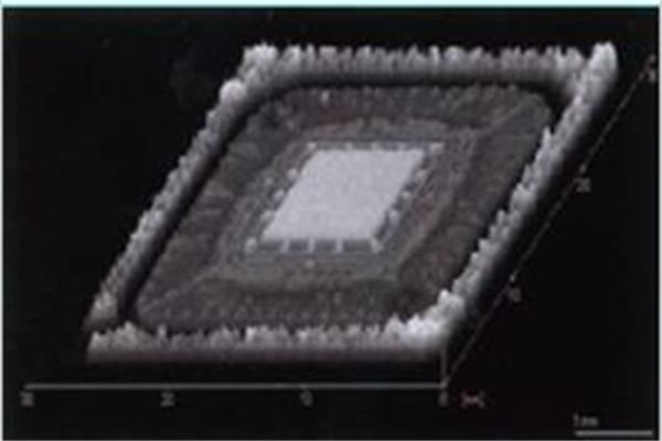 C-SAM是什么？它又有什么實際應用？